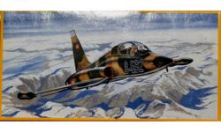 Plastic Model PM-204. Norhtrop F-5B.
