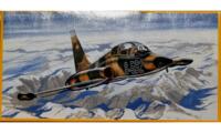 Plastic Model PM-204. Norhtrop F-5B.